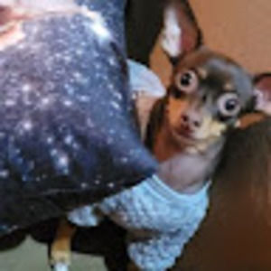 Meet your Posher, Cheree